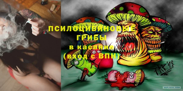 кокаин Белокуриха