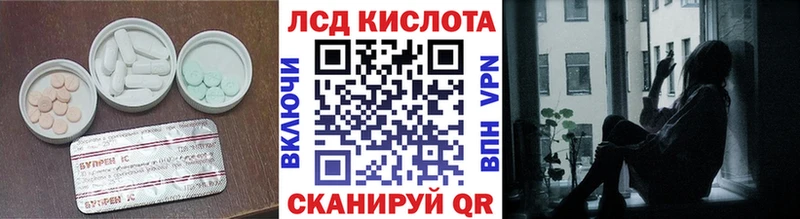блэк спрут как войти  Жердевка  LSD-25 экстази ecstasy 