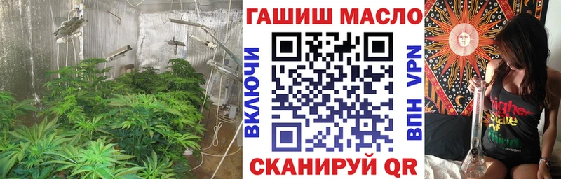 ТГК THC oil сколько стоит Жердевка