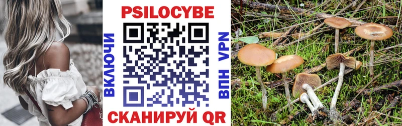 Псилоцибиновые грибы Magic Shrooms Жердевка