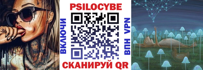наркошоп  Жердевка  Псилоцибиновые грибы Cubensis 